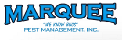 Logo 21