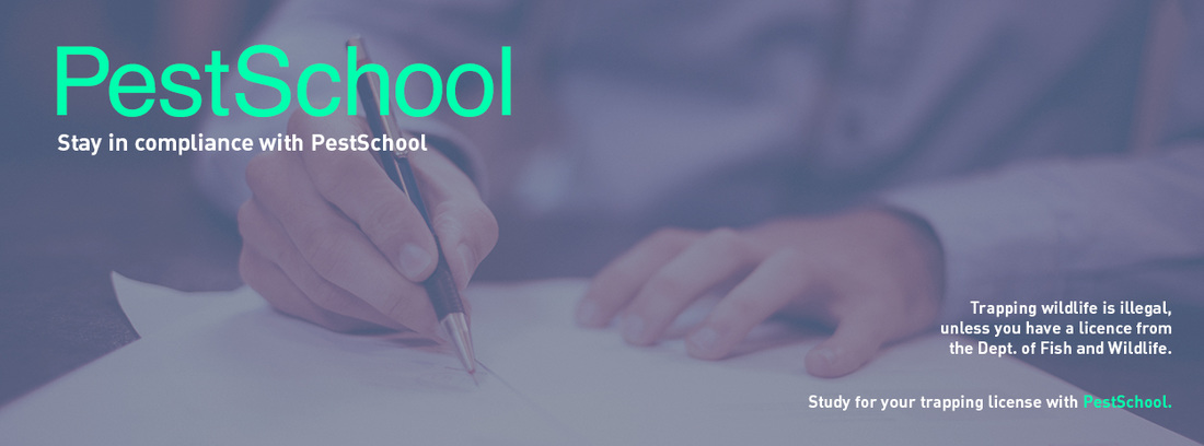 PestSchool Banner